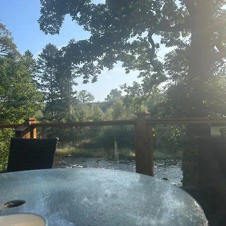 Lazy Bear